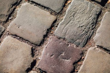 Gündüzleri şık bahçede çeşitli renklerde birbirine yakın köşeler.