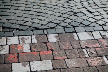 Gündüzleri şık bahçede çeşitli renklerde birbirine yakın köşeler.