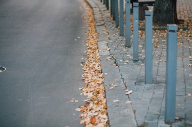 Parktaki yürüyüş yolunda demir kazıklı taşlar. 