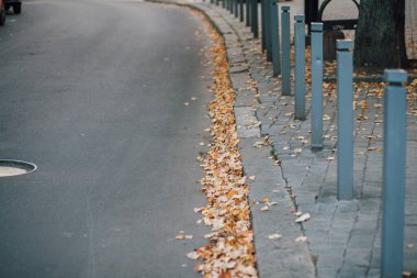 Parktaki yürüyüş yolunda demir kazıklı taşlar. 