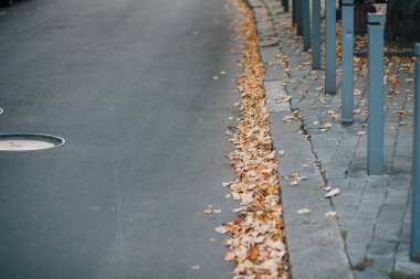Parktaki yürüyüş yolunda demir kazıklı taşlar. 