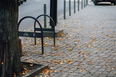 Parktaki yürüyüş yolunda demir kazıklı taşlar. 