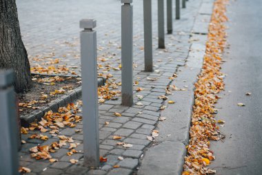 Parktaki yürüyüş yolunda demir kazıklı taşlar. 