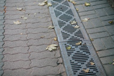 Bardaktan boşanırcasına yağmur yağıyor. 