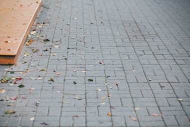 Gündüzleri şık bahçede çeşitli renklerde birbirine yakın köşeler.