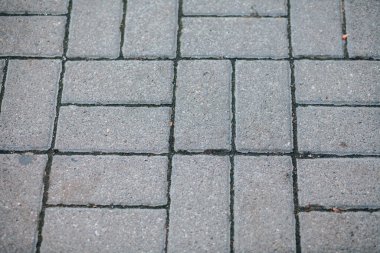 Gündüzleri şık bahçede çeşitli renklerde birbirine yakın köşeler.