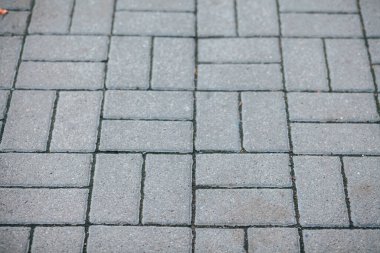 Gündüzleri şık bahçede çeşitli renklerde birbirine yakın köşeler.