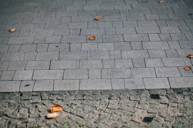 Gündüzleri şık bahçede çeşitli renklerde birbirine yakın köşeler.