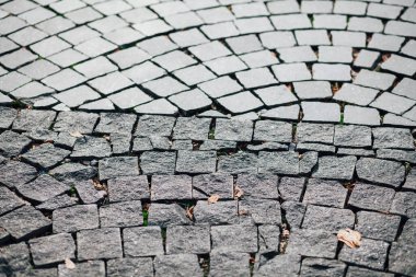 Gündüzleri şık bahçede çeşitli renklerde birbirine yakın köşeler.
