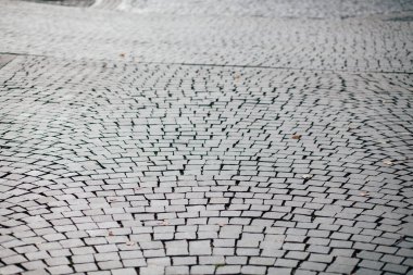 Gündüzleri şık bahçede çeşitli renklerde birbirine yakın köşeler.