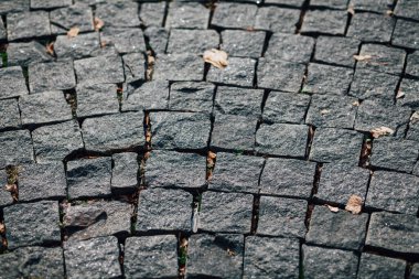 Gündüzleri şık bahçede çeşitli renklerde birbirine yakın köşeler.