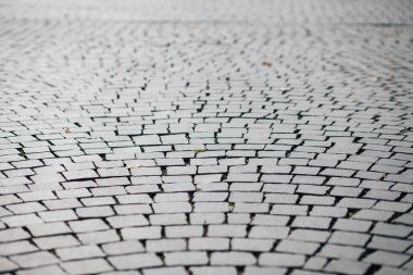 Gündüzleri şık bahçede çeşitli renklerde birbirine yakın köşeler.