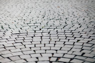 Gündüzleri şık bahçede çeşitli renklerde birbirine yakın köşeler.