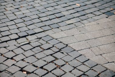 Gündüzleri şık bahçede çeşitli renklerde birbirine yakın köşeler.