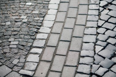Gündüzleri şık bahçede çeşitli renklerde birbirine yakın köşeler.