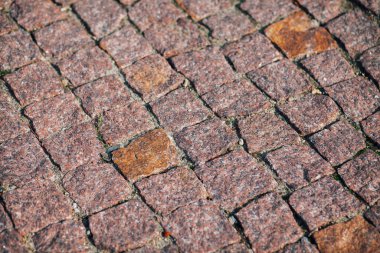 Gündüzleri şık bahçede çeşitli renklerde birbirine yakın köşeler.