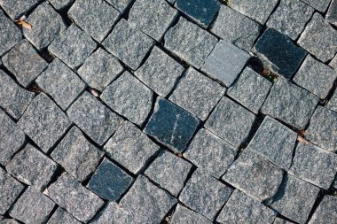 Gündüzleri şık bahçede çeşitli renklerde birbirine yakın köşeler.