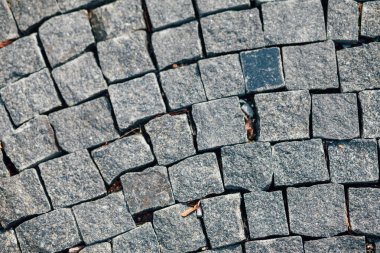 Gündüzleri şık bahçede çeşitli renklerde birbirine yakın köşeler.