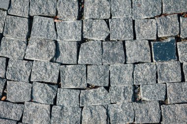 Gündüzleri şık bahçede çeşitli renklerde birbirine yakın köşeler.