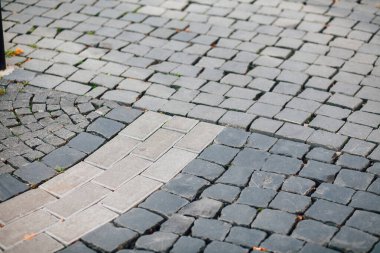 Gündüzleri şık bahçede çeşitli renklerde birbirine yakın köşeler.