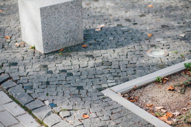 Gündüzleri şık bahçede çeşitli renklerde birbirine yakın köşeler.