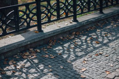 Gündüz vakti şehir parkında yürüyüş yolu taşları 