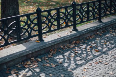 Gündüz vakti şehir parkında yürüyüş yolu taşları 