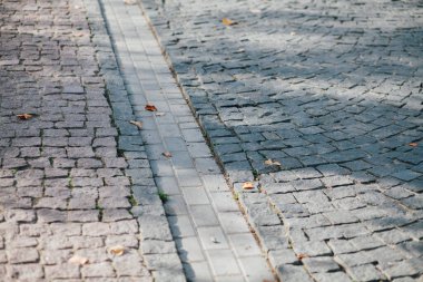 Gündüzleri şık bahçede çeşitli renklerde birbirine yakın köşeler.