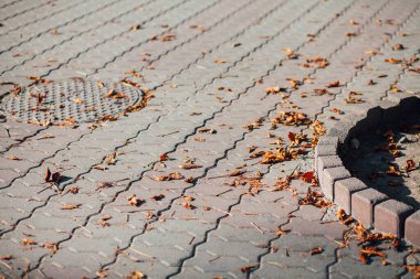 Gündüzleri şık bahçede çeşitli renklerde birbirine yakın köşeler.