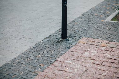 Gündüzleri şık bahçede çeşitli renklerde birbirine yakın köşeler.
