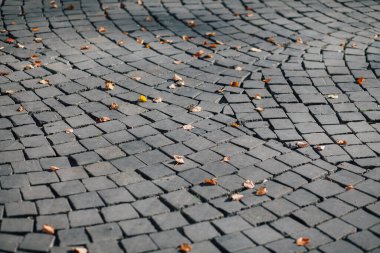 Gündüzleri şık bahçede çeşitli renklerde birbirine yakın köşeler.