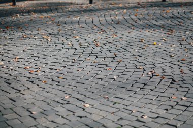 Gündüzleri şık bahçede çeşitli renklerde birbirine yakın köşeler.