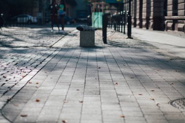 Parktaki yürüyüş yolunda demir kazıklı taşlar. 