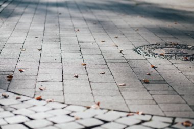 Gündüzleri şık bahçede çeşitli renklerde birbirine yakın köşeler.