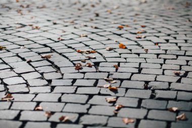 Gündüzleri şık bahçede çeşitli renklerde birbirine yakın köşeler.