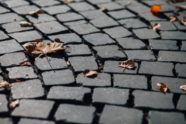 Gündüzleri şık bahçede çeşitli renklerde birbirine yakın köşeler.