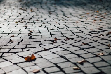 Gündüzleri şık bahçede çeşitli renklerde birbirine yakın köşeler.