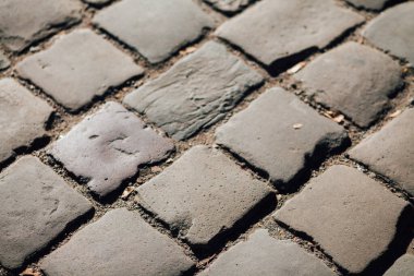 Gündüzleri şık bahçede çeşitli renklerde birbirine yakın köşeler.