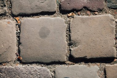 Gündüzleri şık bahçede çeşitli renklerde birbirine yakın köşeler.