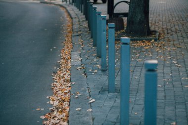 Parktaki yürüyüş yolunda demir kazıklı taşlar. 