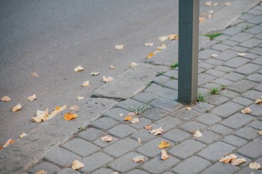 Parktaki yürüyüş yolunda demir kazıklı taşlar. 