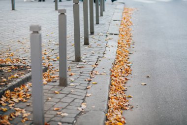Parktaki yürüyüş yolunda demir kazıklı taşlar. 