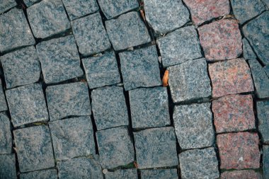 Gündüzleri şık bahçede çeşitli renklerde birbirine yakın köşeler.