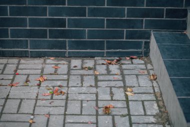 Gündüzleri şık bahçede çeşitli renklerde birbirine yakın köşeler.