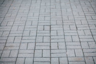 Gündüzleri şık bahçede çeşitli renklerde birbirine yakın köşeler.