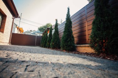 Yeni metal çitli yeşil ladin ağaçları