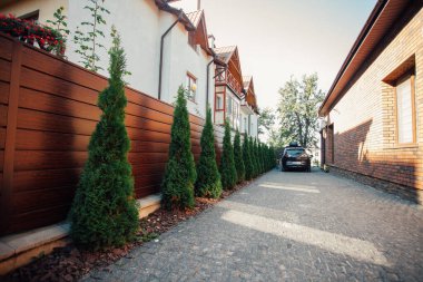 Yeni metal çitli yeşil ladin ağaçları