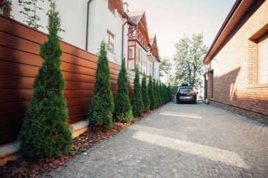 Yeni metal çitli yeşil ladin ağaçları