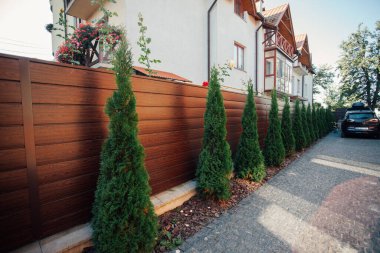 Yeni metal çitli yeşil ladin ağaçları