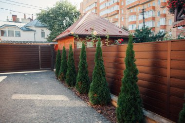 Yeni metal çitli yeşil ladin ağaçları